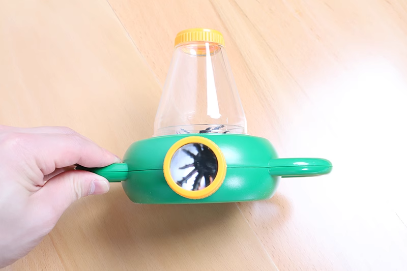 Insect Observation Box (1 piece)