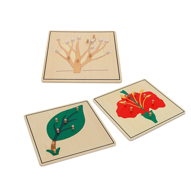 Botany Puzzle Cabinet (3 Puzzles Included)