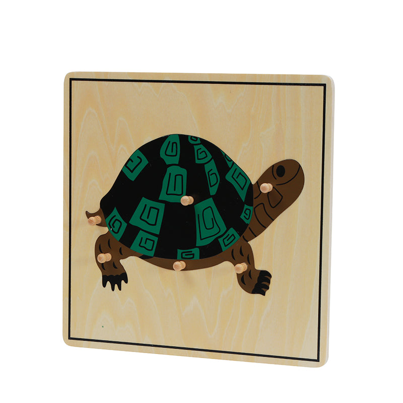 Turtle Puzzle