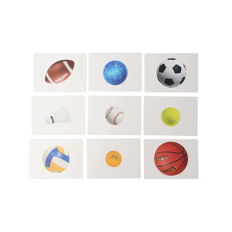 Toddler Sorting Cards