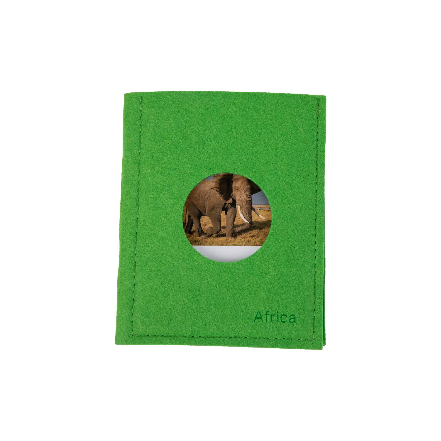 Animal from Africa Objects with Sorting Cards