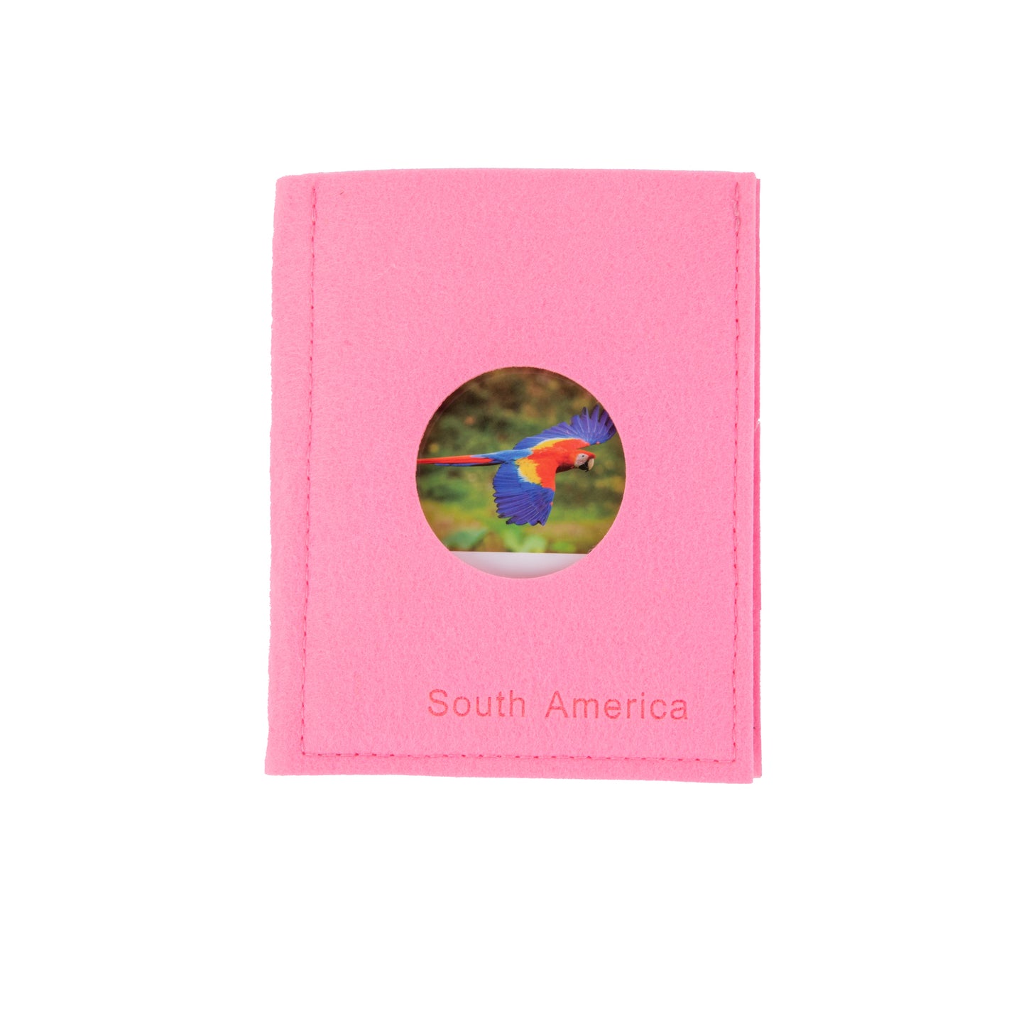 Animal from South America Objects with Sorting Cards