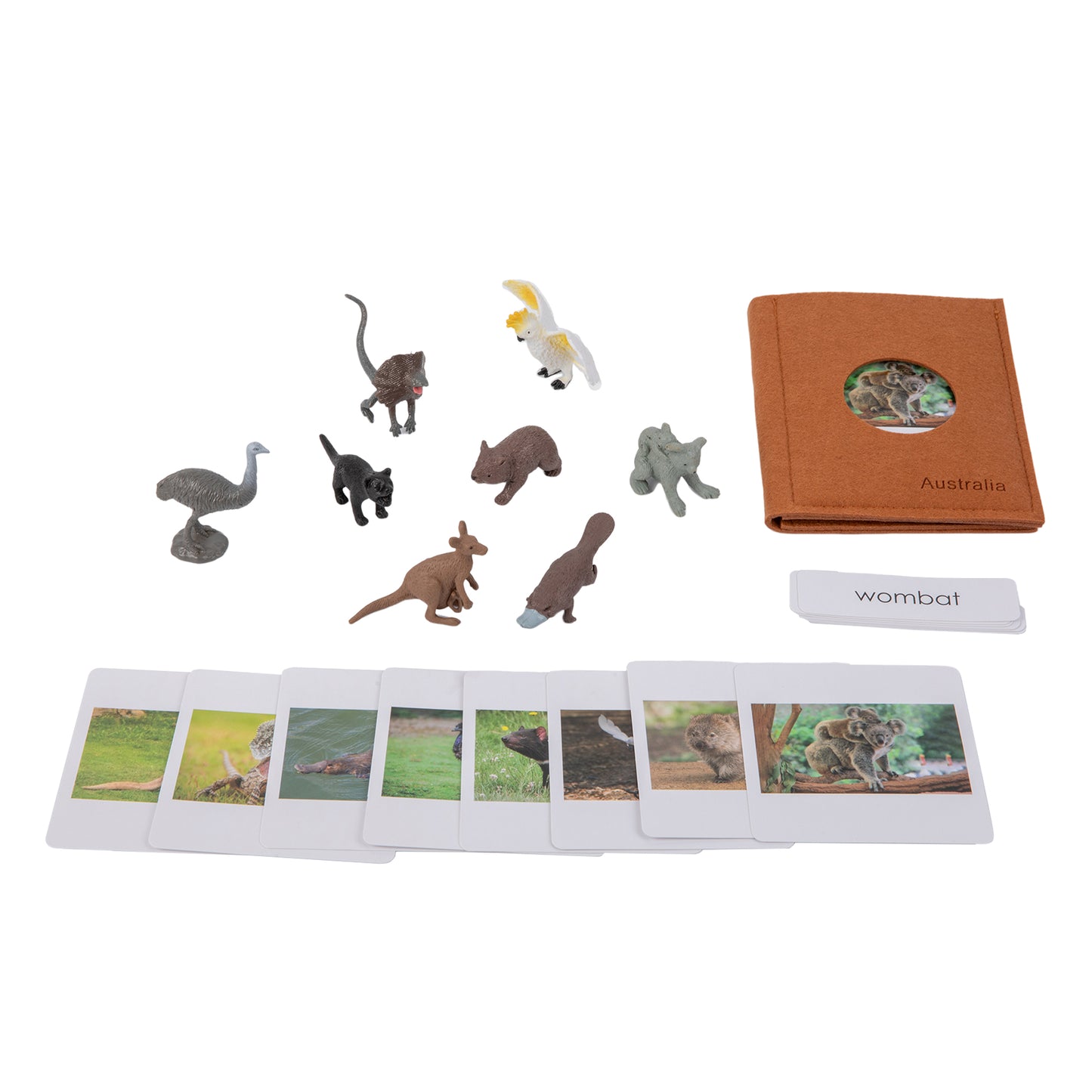 Animal from Australia Objects with Sorting Cards