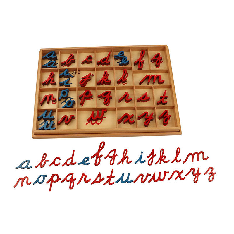 Small Cursive Moveable Alphabet