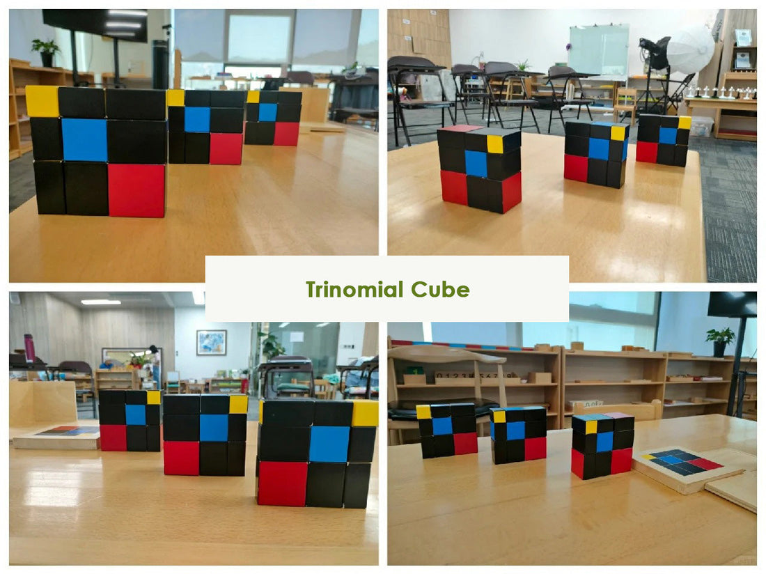 Montessori Education | How Sensory Work Builds Mathematical Minds