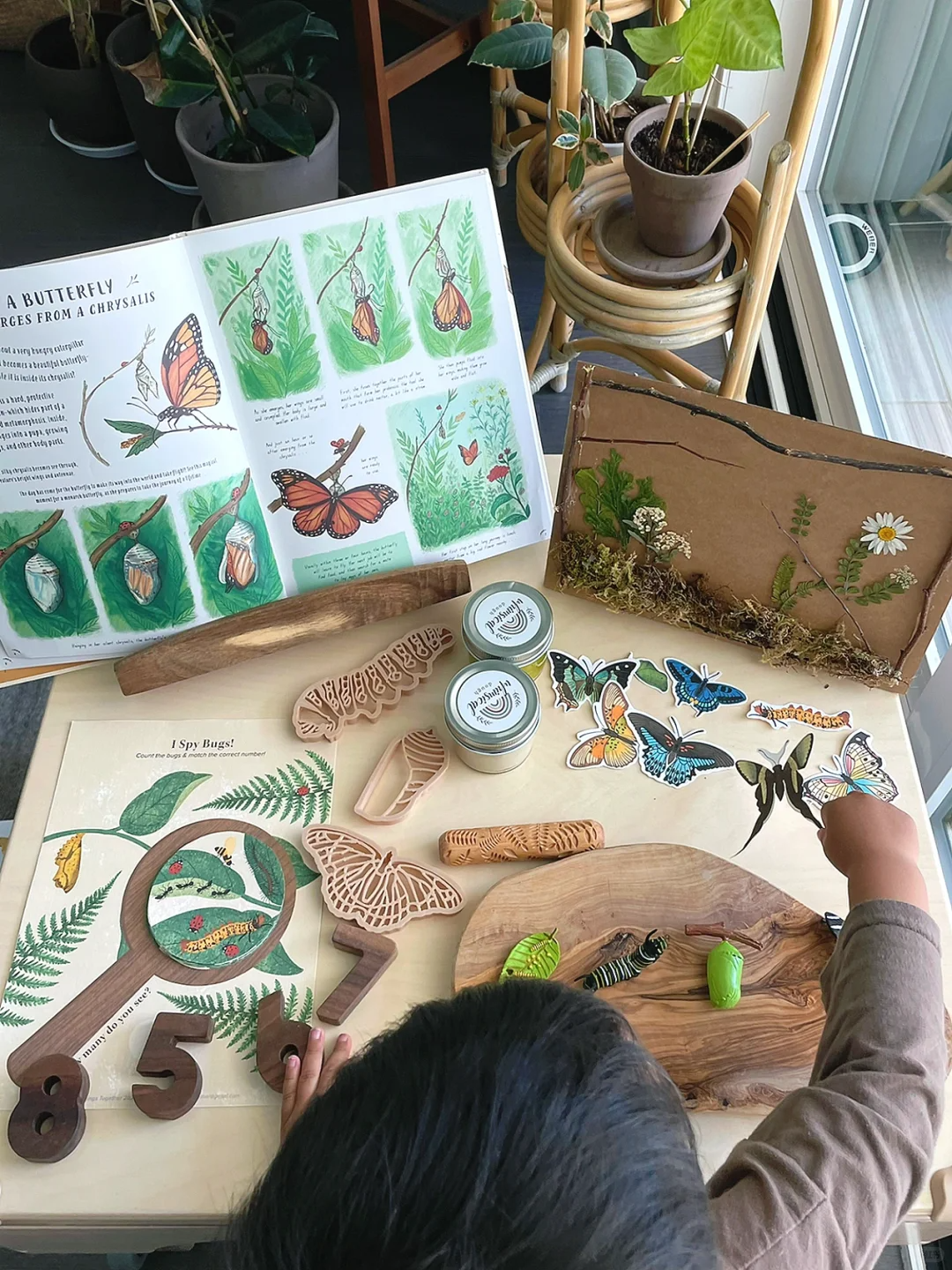 Educational Toys