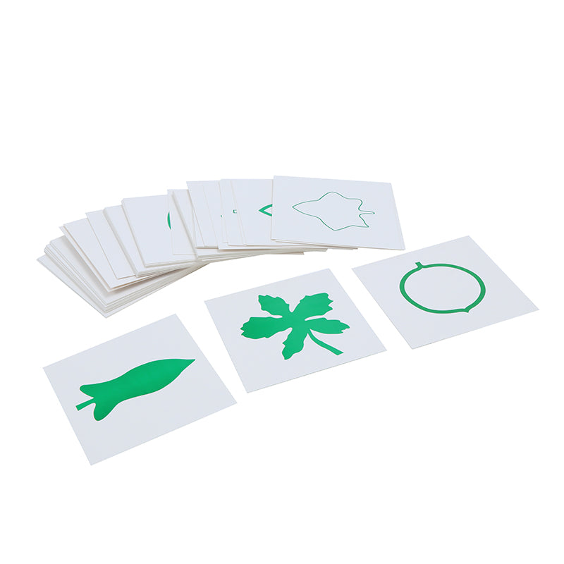 Tarjetas de hojas