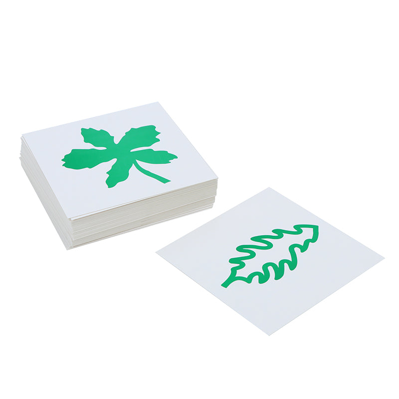 Tarjetas de hojas
