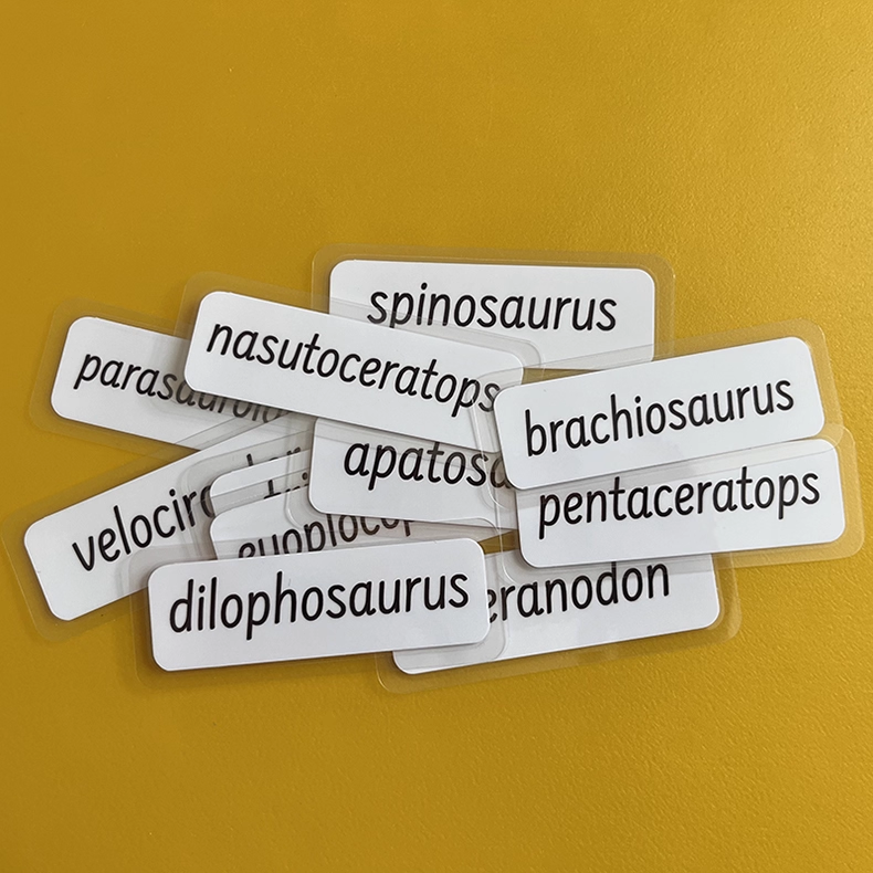 Tarjetas de dinosaurios de tres partes con soporte