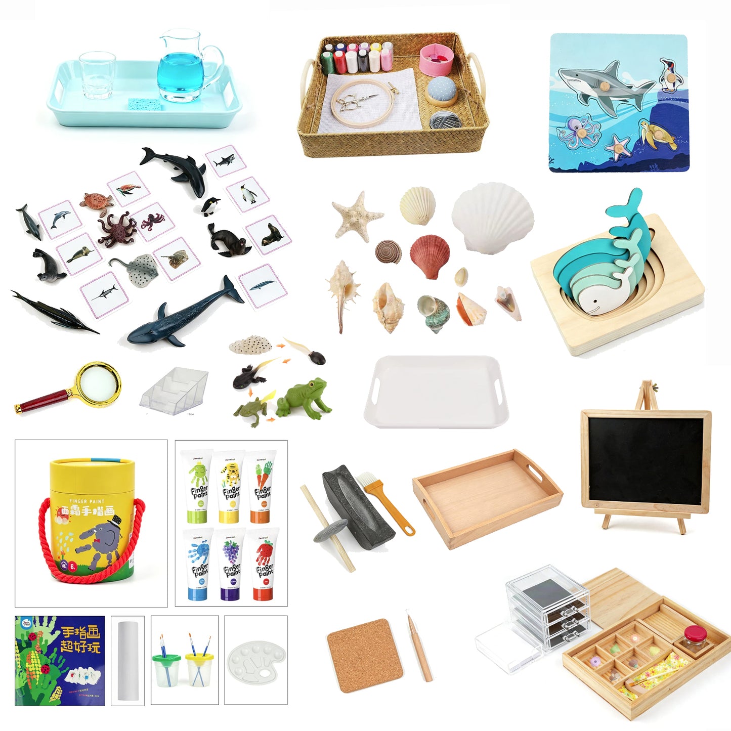 Ocean Sensory & Learning Kit