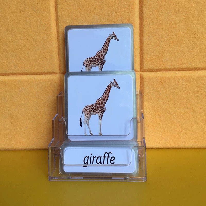 Wild Animals Three-Parts Cards w/ Stand