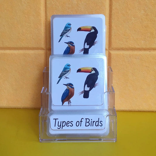 Types of Birds Three-Parts Cards w/ Stand