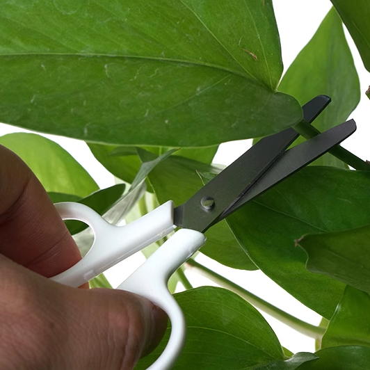 Child-size Stainless Scissors White with Cap