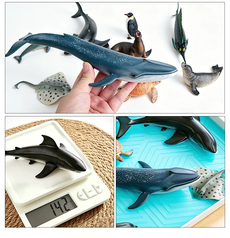 Ocean Sensory & Learning Kit