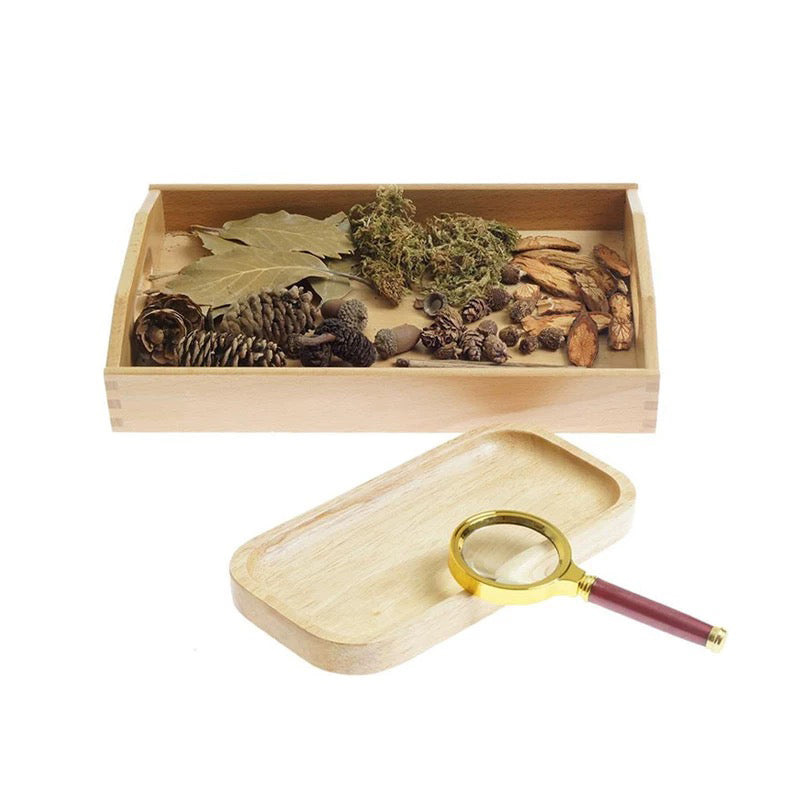 Magnifier Activity