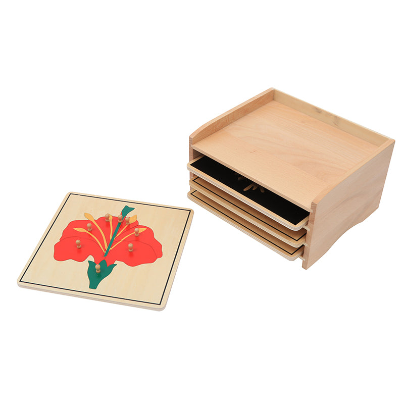 Botany  Puzzle Cabinet (3 Puzzles Included)