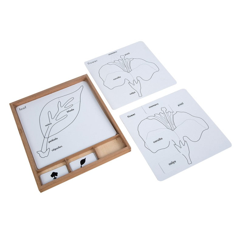 Botany Puzzle Activity Set EN