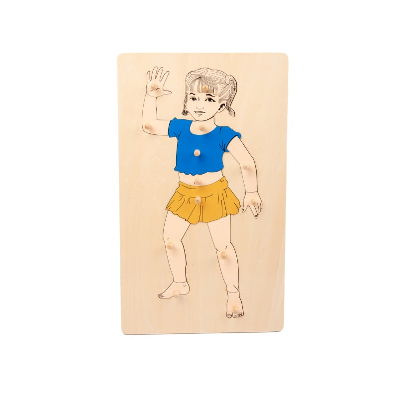 Partes del cuerpo - Niña