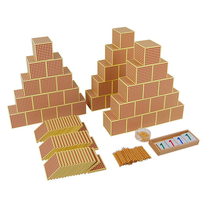 Bird's Eye View Activity