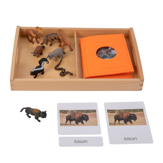 Animal from North America Objects with Sorting Cards