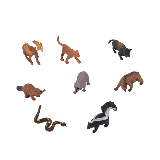 Animal from North America Objects