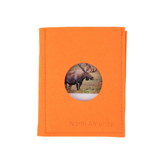 North American Wildlife  Sorting Cards