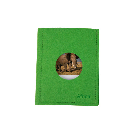 Africa Wildlife  Sorting Cards