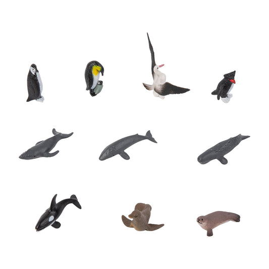 Animal from Antarctica Objects