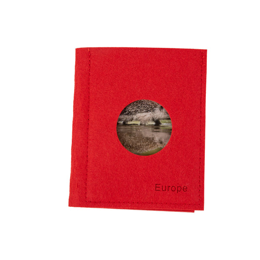 European Wildlife  Sorting Cards