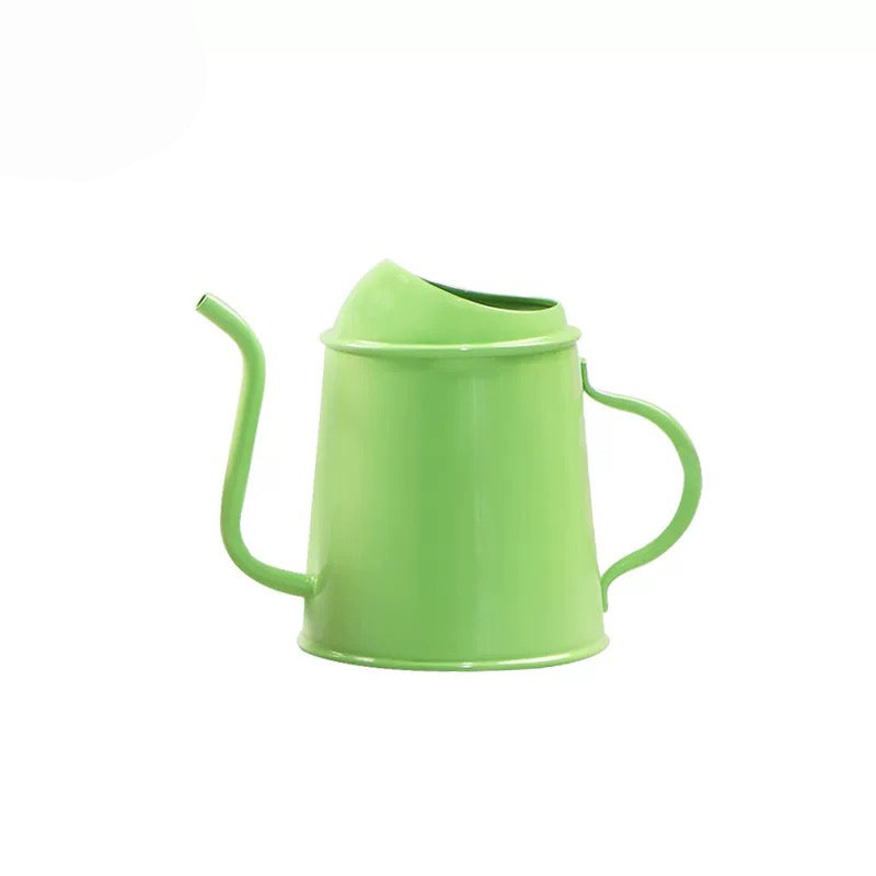 Tiny Watering Can
