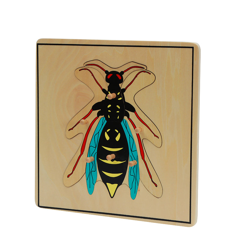 Wasp Puzzle