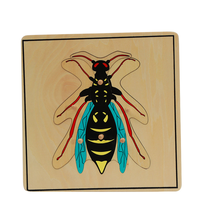 Wasp Puzzle